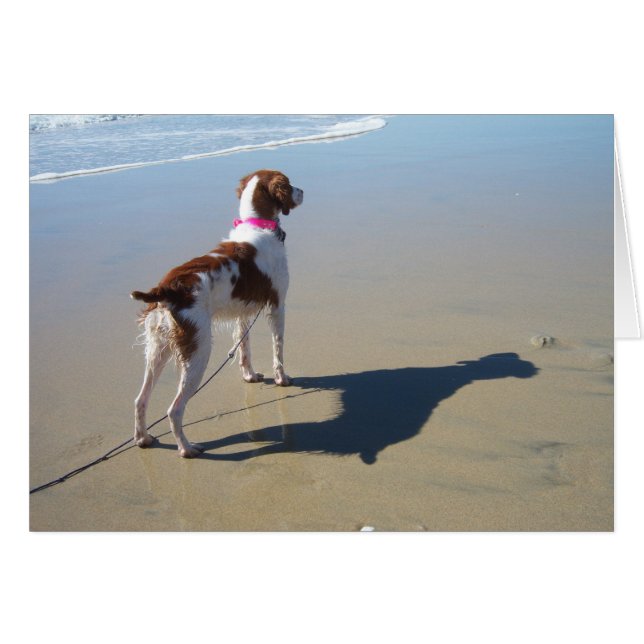 BRITTANY ON THE BEACH (Front Horizontal)