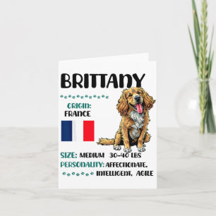 Brittany Origin Funny Brittany Dog Lover  Card