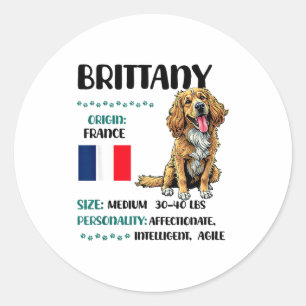 Brittany Origin Funny Brittany Dog Lover  Classic Round Sticker