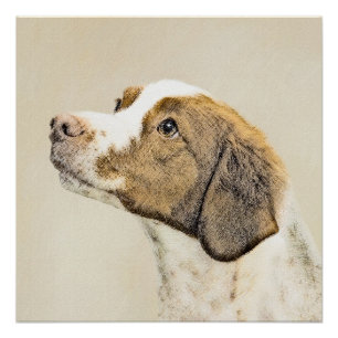 Brittany Painting - Cute Original Dog Art Poster
