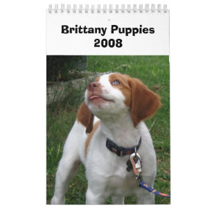 Brittany Puppies 2008 Calendar