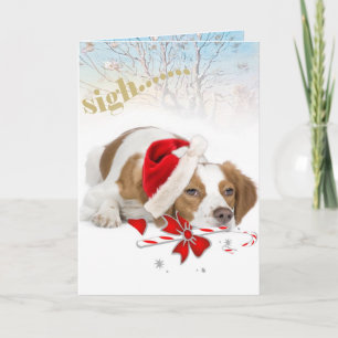 Brittany Santa Takes So Long Cards