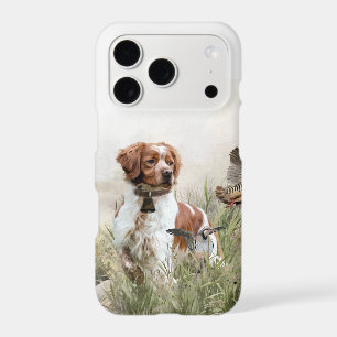 Brittany Spaniel