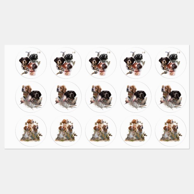 Brittany Spaniel (Sheet)