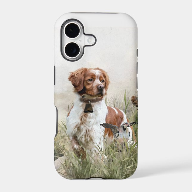 Brittany Spaniel  (Back)