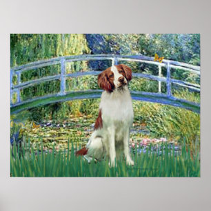 Brittany Spaniel 3 - Lily Pond Bridge Poster