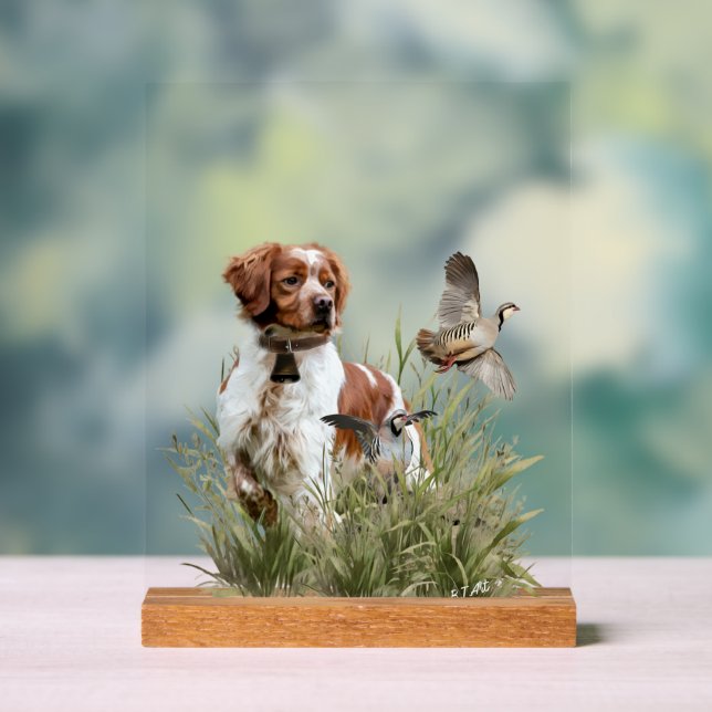 Brittany Spaniel Acrylic Sign (Neutral)