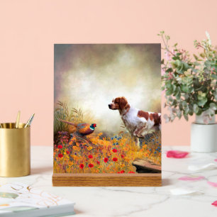 Brittany Spaniel Acrylic Sign