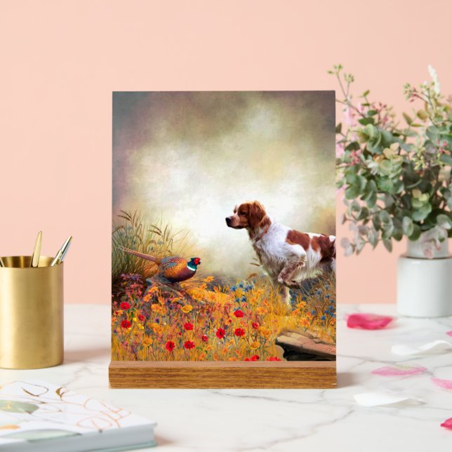 Brittany Spaniel Acrylic Sign (Wedding)