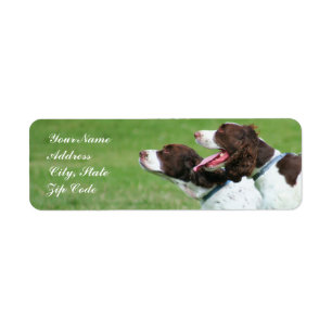 Brittany spaniel address labels