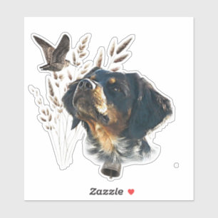 Brittany Spaniel and woodcock 