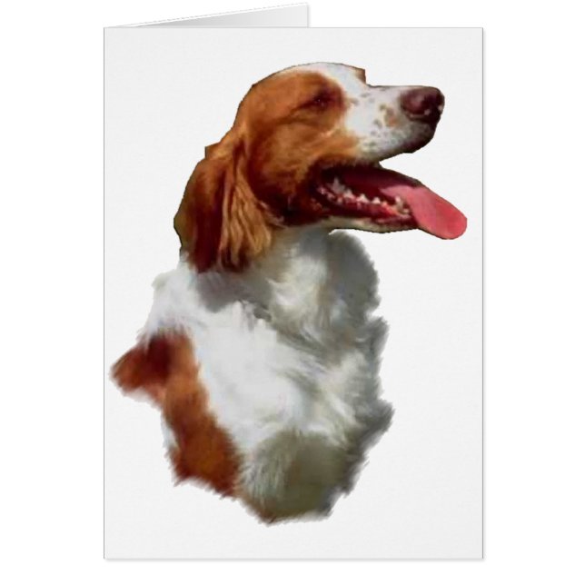 Brittany Spaniel Art Gifts (Front)