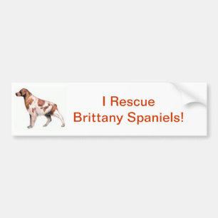 Brittany Spaniel Bumper Sticker