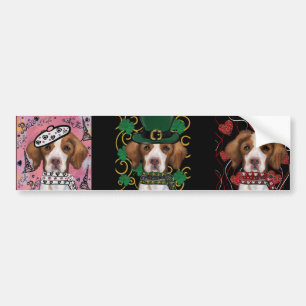 Brittany Spaniel              Bumper Sticker