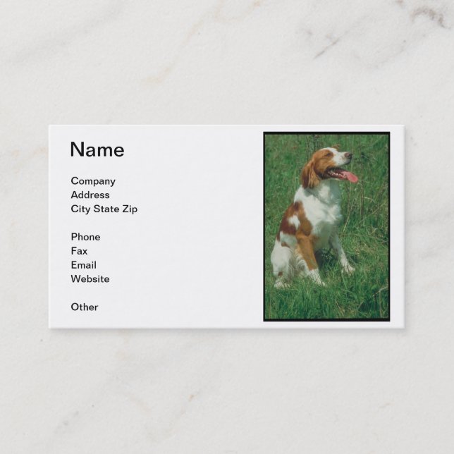 Brittany Spaniel Business Card (Front)