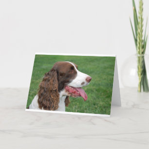 Brittany Spaniel Card