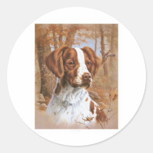 Brittany Spaniel Classic Round Sticker