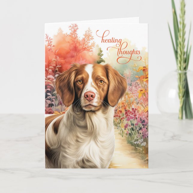Brittany Spaniel Dog Colorful Garden Path Get Well Card (Front)