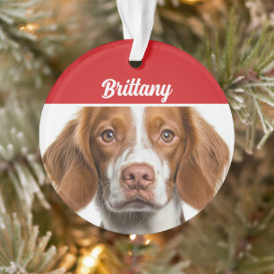 Brittany Spaniel Dog Holiday Photo Christmas Ornament