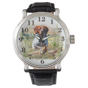 Brittany Spaniel – Field, Focus, Pheasant , Art  Watch