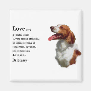 Brittany Spaniel Gifts Magnet