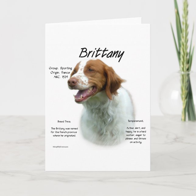 Brittany Spaniel History  Holiday Card (Front)