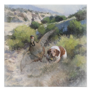 Brittany Spaniel hunting chukar partridge, Art  Poster