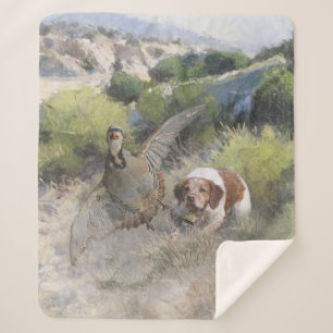 Brittany Spaniel hunting chukar partridge, Art  Sherpa Blanket