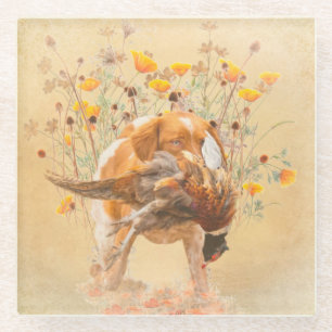 Brittany Spaniel, Hunting Pheasant Coffee Mug T-Sh Glass Coaster