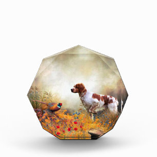 Brittany Spaniel, Hunting Pheasant    Photo Block