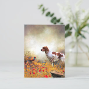 Brittany Spaniel, Hunting Pheasant   Postcard