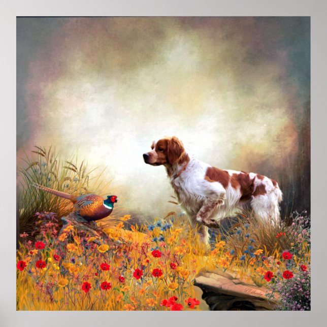 Brittany Spaniel, Hunting Pheasant   Poster (Front)