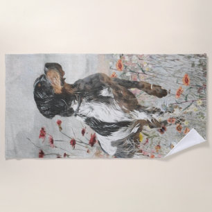 Brittany Spaniel hunts in the field      Beach Towel