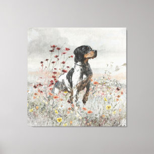 Brittany Spaniel hunts in the field   Canvas Print