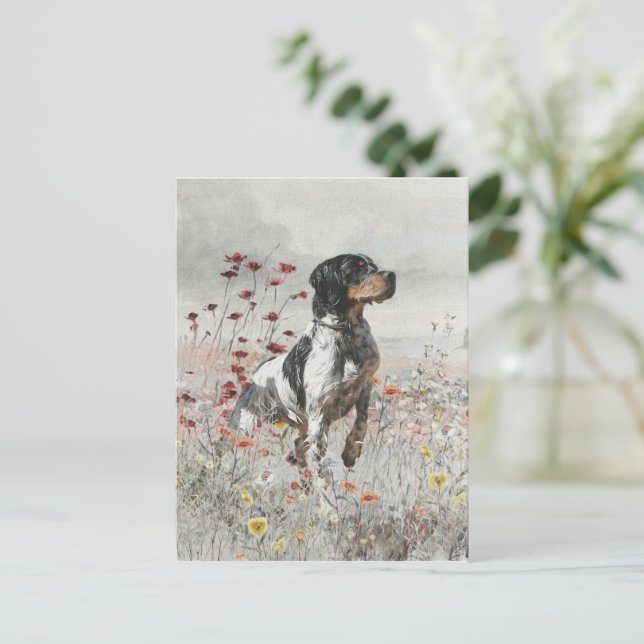 Brittany Spaniel hunts in the field     Postcard (Standing Front)