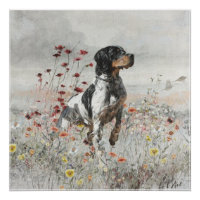 Brittany Spaniel hunts in the field