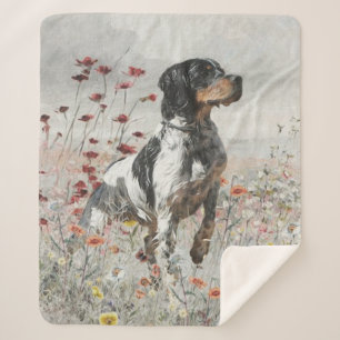 Brittany Spaniel hunts in the field     Sherpa Blanket