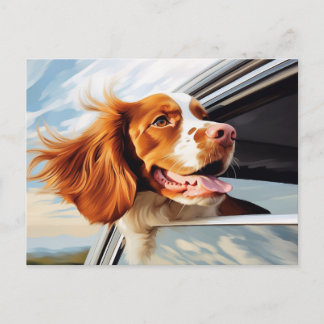 Brittany spaniel in Car Window Postcard