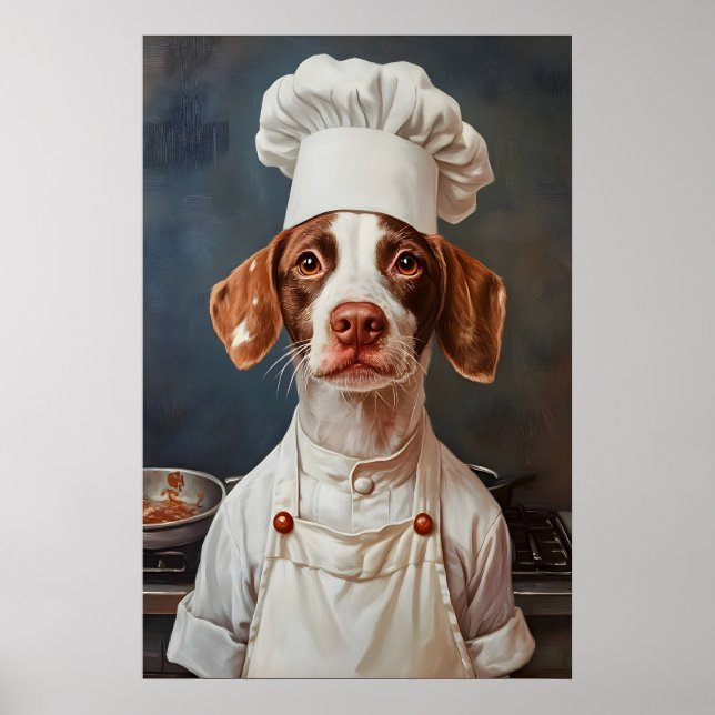 Brittany Spaniel In Chefs Hat Poster, Pet Poster (Front)