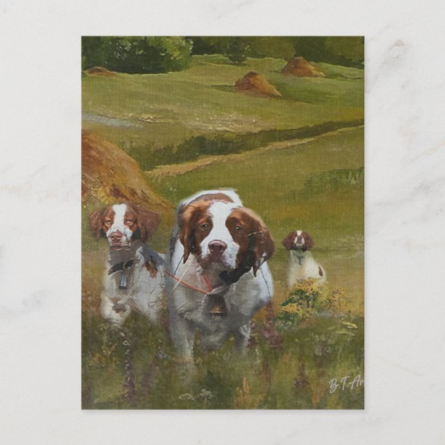 Brittany Spaniel  Invitation Postcard (Front)