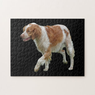 Brittany Spaniel Jigsaw Puzzle