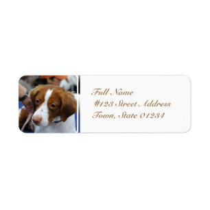 Brittany Spaniel Mailing Labels