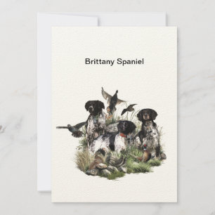 Brittany Spaniel , Passion for Birds Invitation