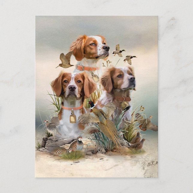 Brittany Spaniel , Passion for Birds Invitation Postcard (Front)