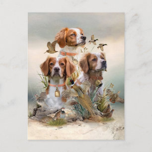 Brittany Spaniel , Passion for Birds Postcard