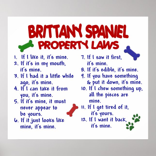 BRITTANY SPANIEL PL2 POSTER (Front)