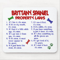 BRITTANY SPANIEL Property Laws 2