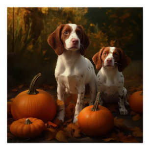 Brittany Spaniel Puppy Autumn Delight Pumpkin  Poster