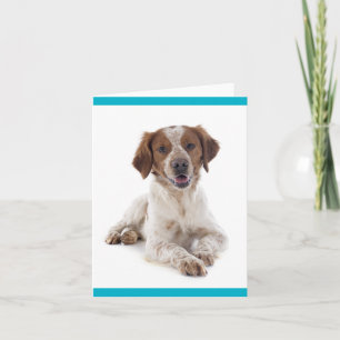 Brittany Spaniel Puppy Dog Blank Note Card