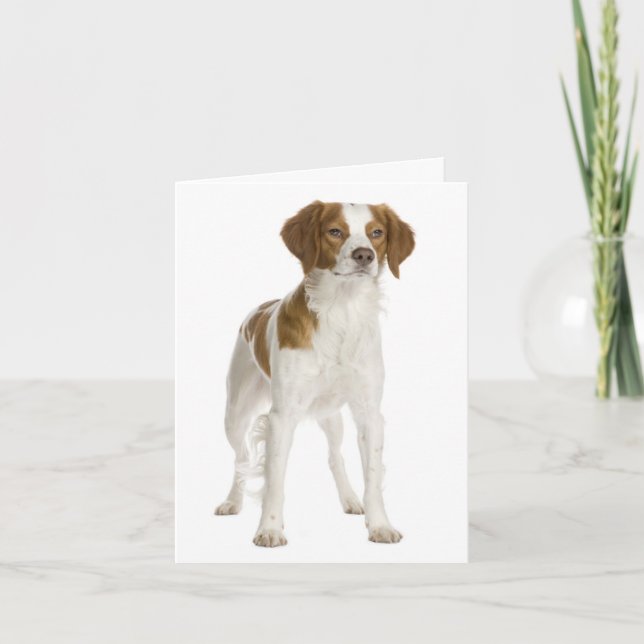 Brittany Spaniel Puppy Dog Blank Note Card (Front)
